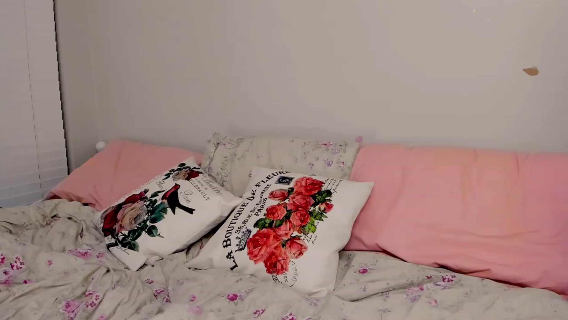Gallery image thumbnail from FoxyDame's myfreecams stream on, 02/14/2023, 04:45 image 9 of 20
