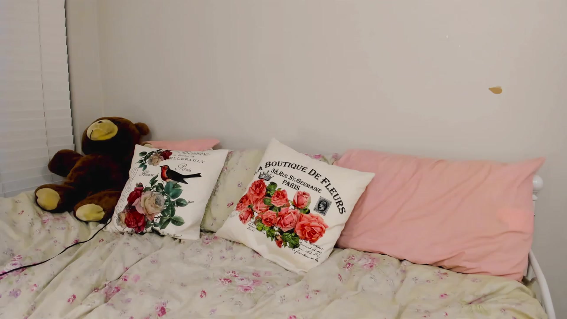 Gallery image thumbnail from FoxyDame's myfreecams stream on, 02/25/2023, 07:12 image 13 of 20
