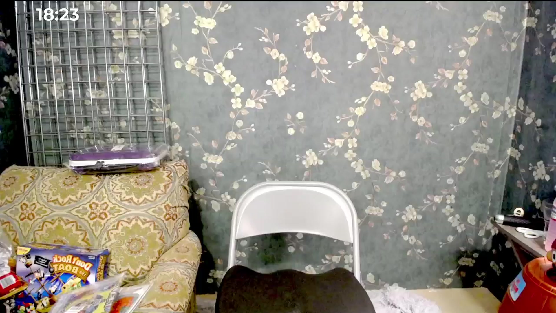 Gallery image thumbnail from FoxyDame's myfreecams stream on, 11/08/2024, 03:29 image 6 of 20