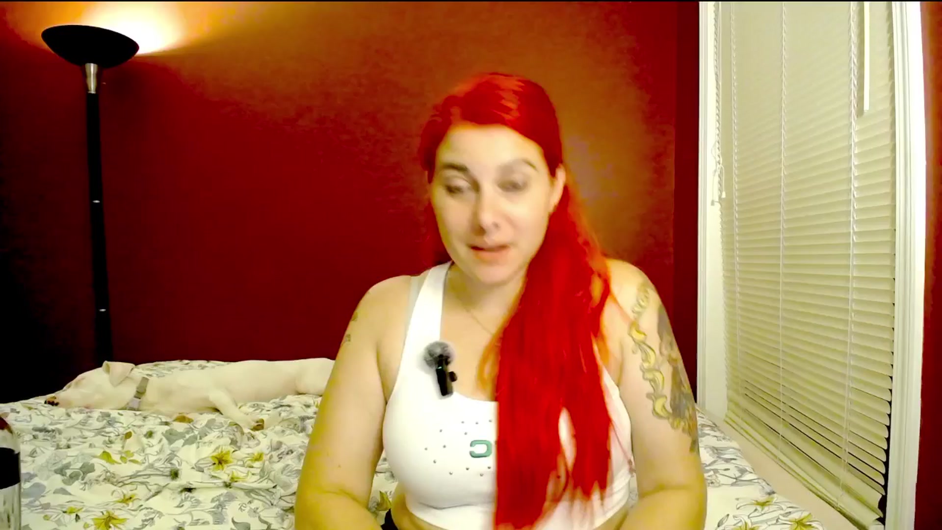 Gallery image thumbnail from FoxyDame's myfreecams stream on, 08/17/2025, 03:33 image 13 of 20
