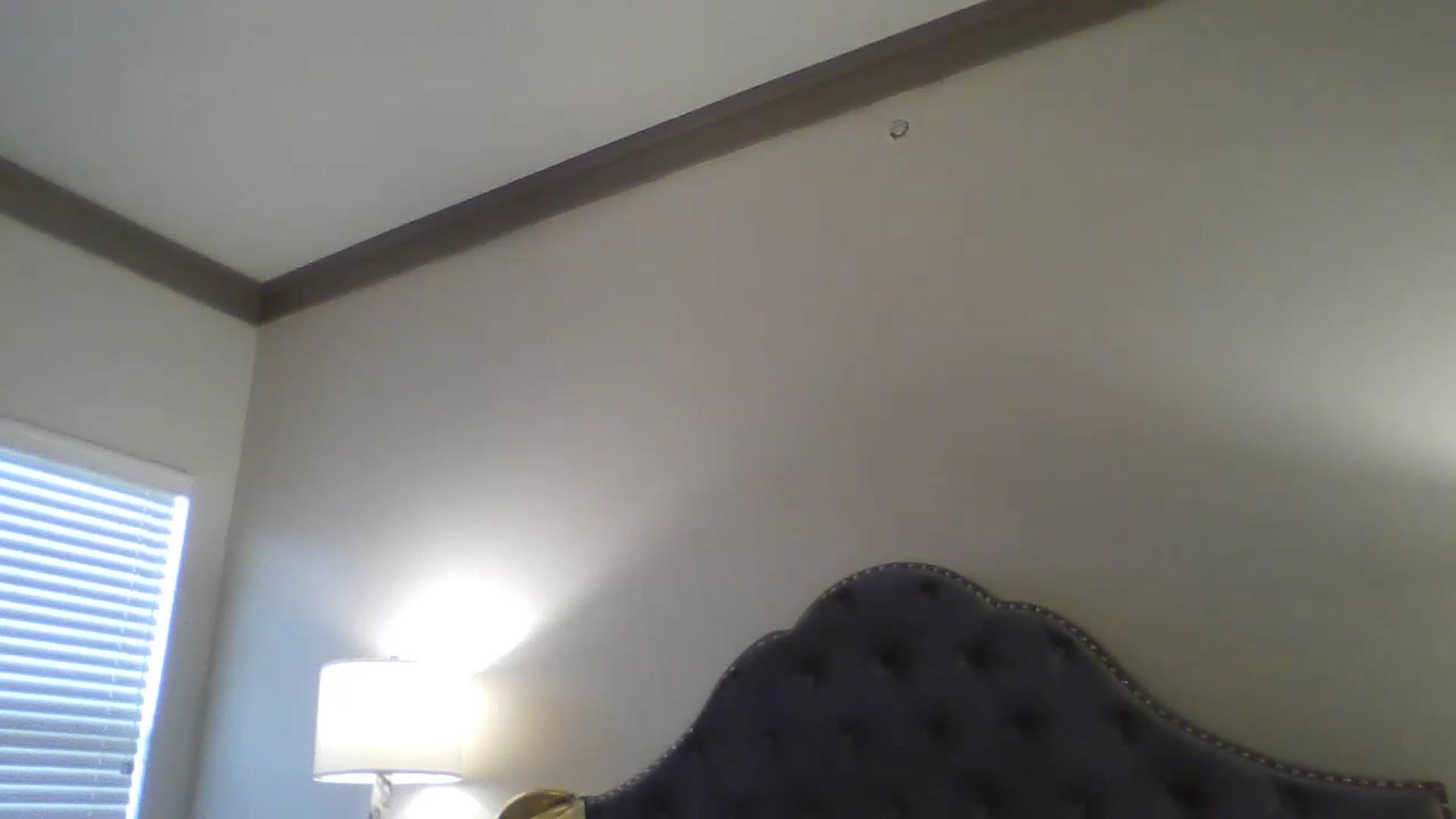 Gallery image thumbnail from FoxyInferno's myfreecams stream on, 09/29/2024, 16:53 image 5 of 20