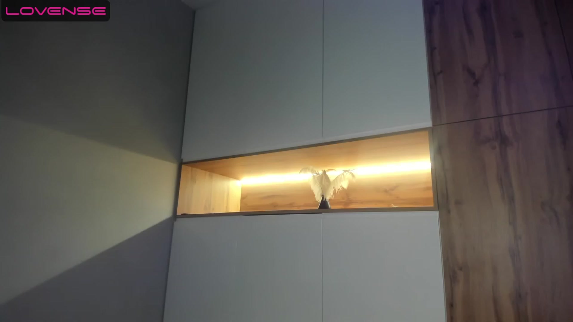 Gallery image thumbnail from FoxyKate_'s myfreecams stream on, 08/05/2023, 18:39 image 11 of 20
