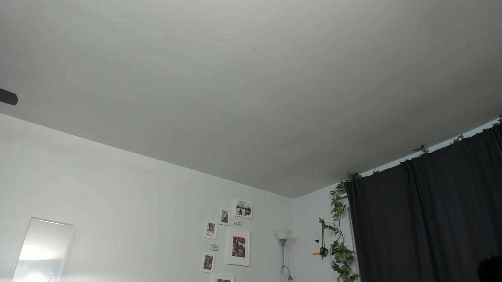 Gallery image thumbnail from Frankiiy_'s myfreecams stream on, 01/19/2023, 07:34 image 9 of 20