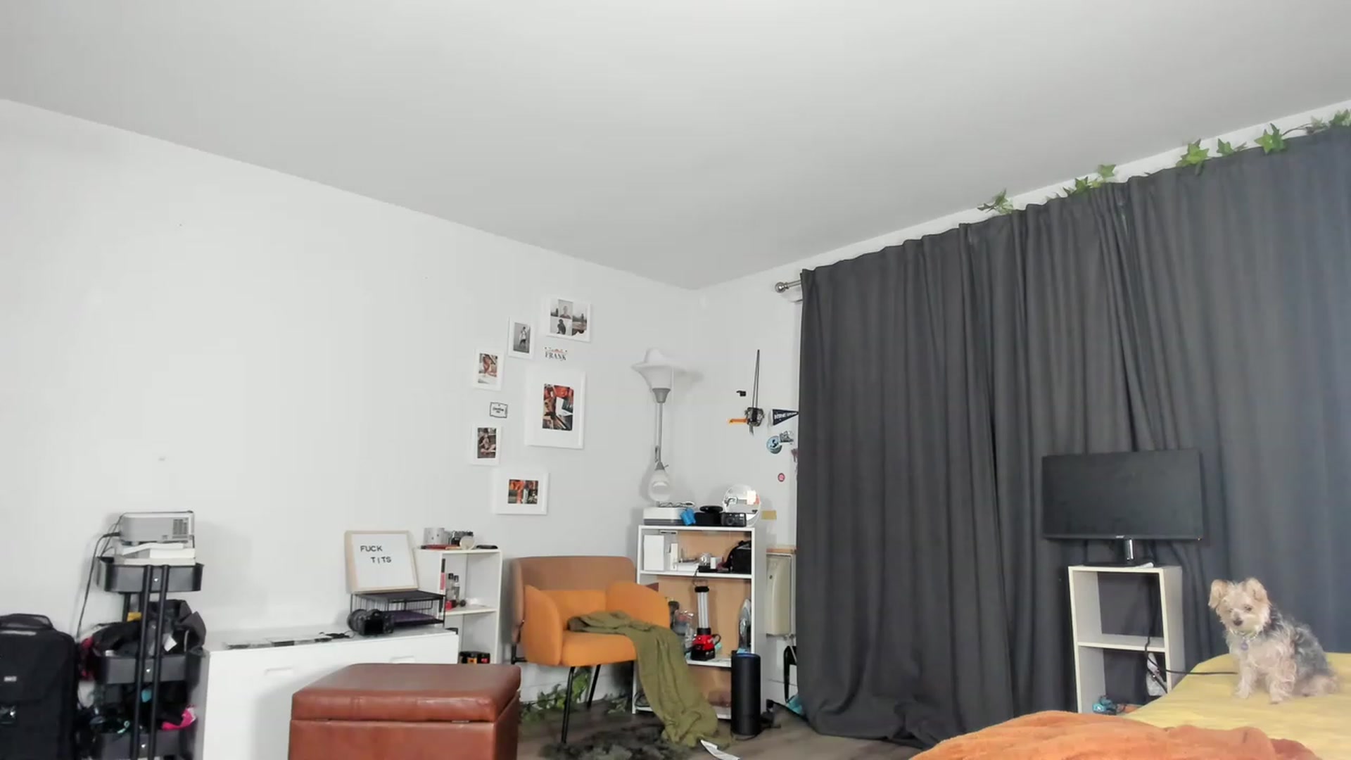 Gallery image thumbnail from Frankiiy_'s myfreecams stream on, 02/24/2023, 11:10 image 19 of 20