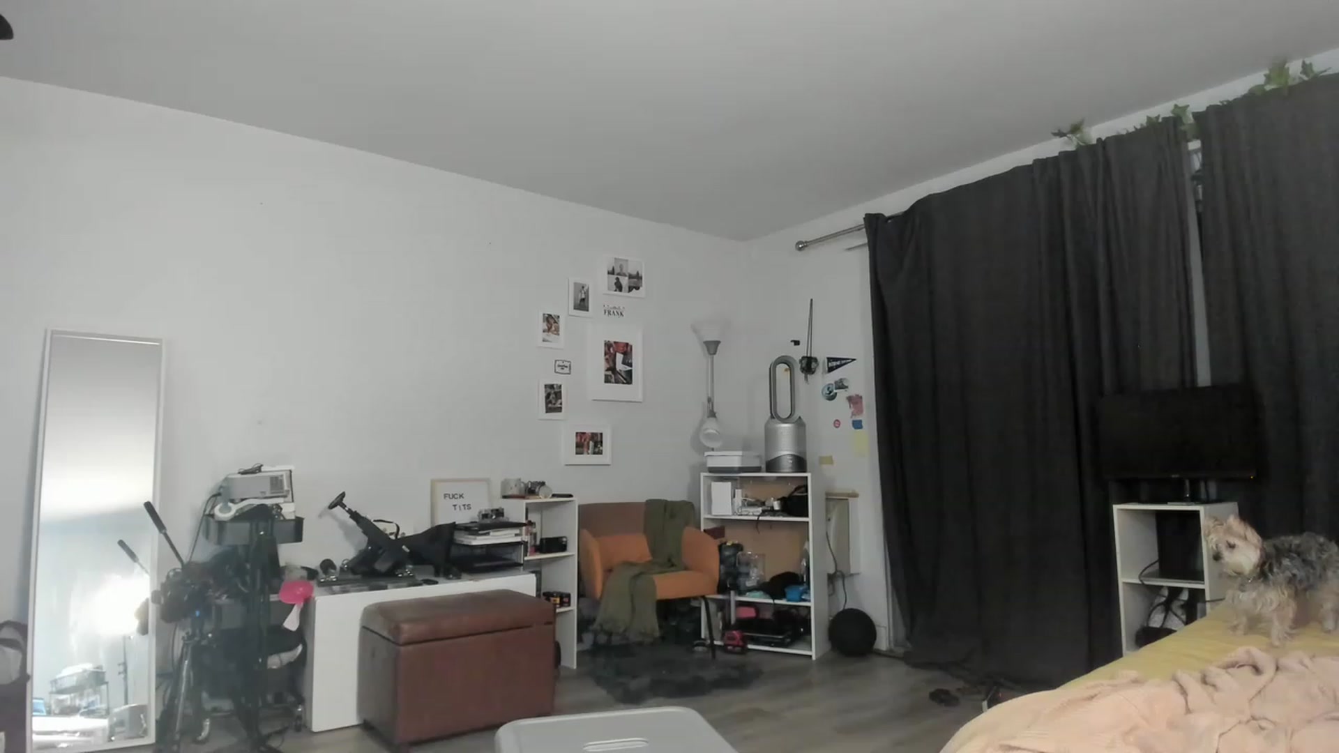 Gallery image thumbnail from Frankiiy_'s myfreecams stream on, 03/24/2023, 07:50 image 8 of 20