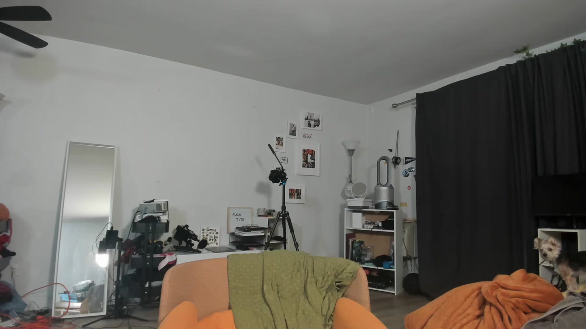 Gallery image thumbnail from Frankiiy_'s myfreecams stream on, 03/30/2023, 07:17 image 3 of 20