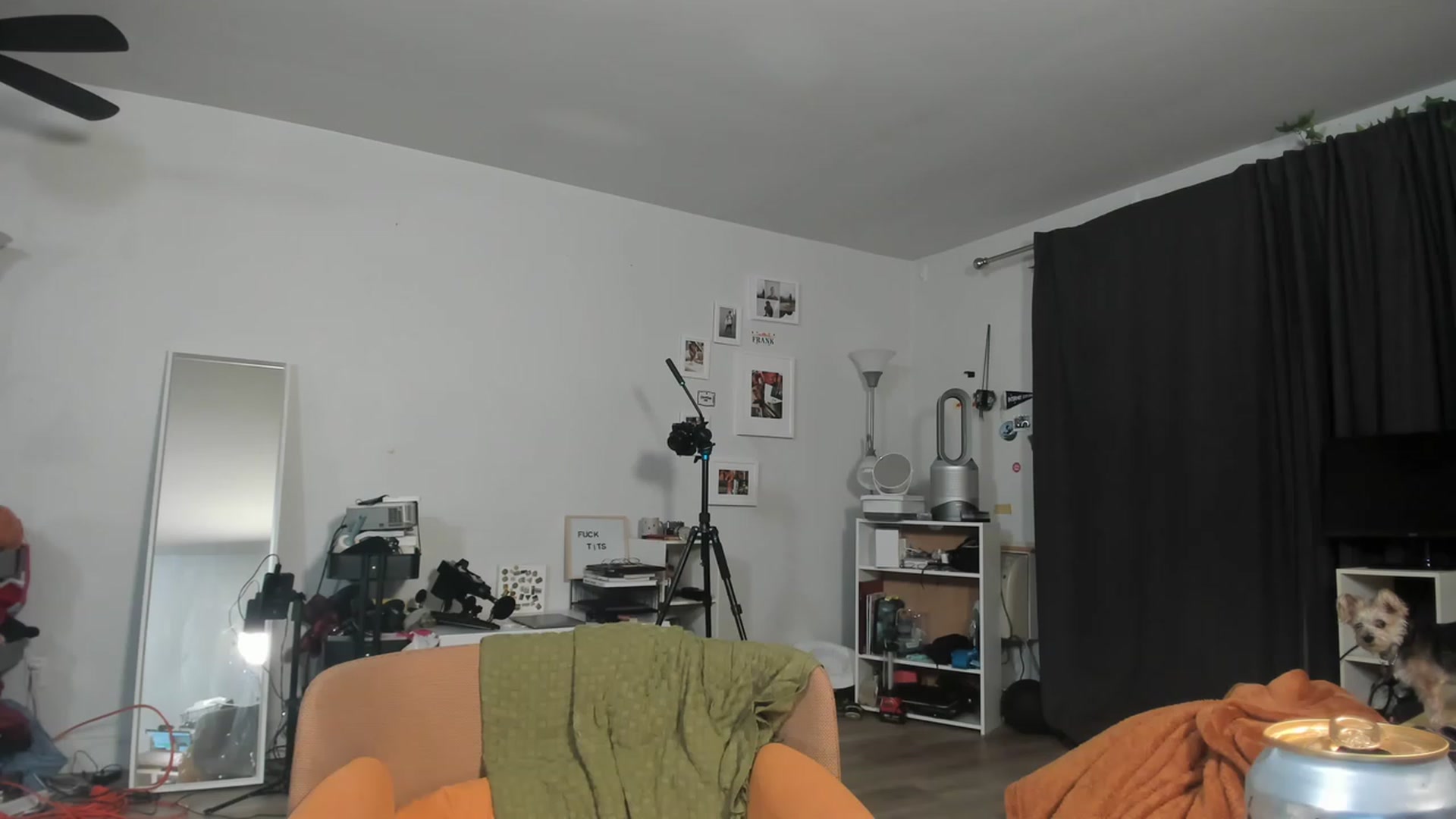 Gallery image thumbnail from Frankiiy_'s myfreecams stream on, 03/30/2023, 07:17 image 4 of 20