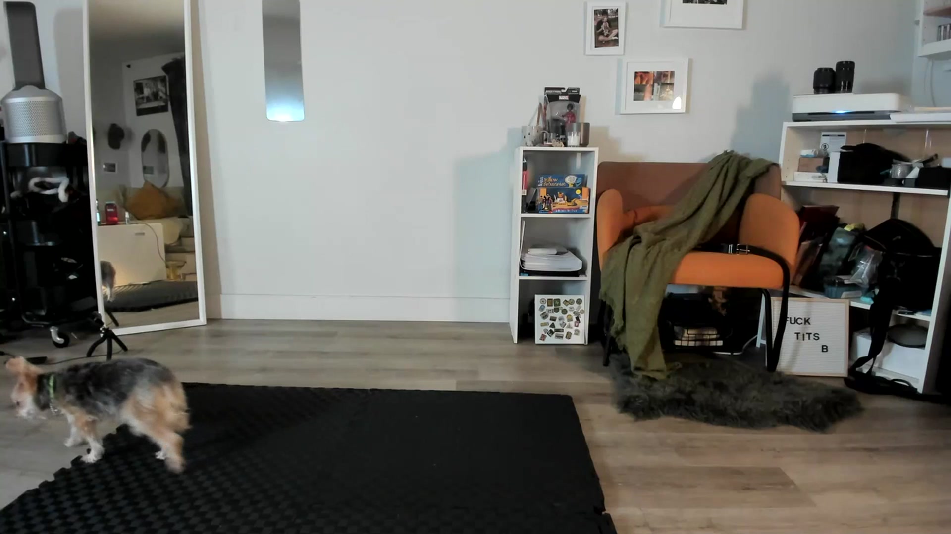 Gallery image thumbnail from Frankiiy_'s myfreecams stream on, 07/14/2023, 05:44 image 12 of 20