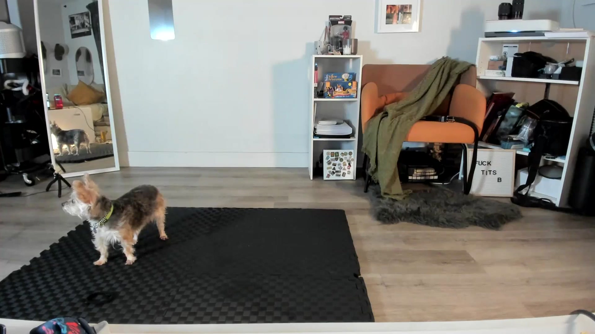Gallery image thumbnail from Frankiiy_'s myfreecams stream on, 07/14/2023, 06:48 image 4 of 20
