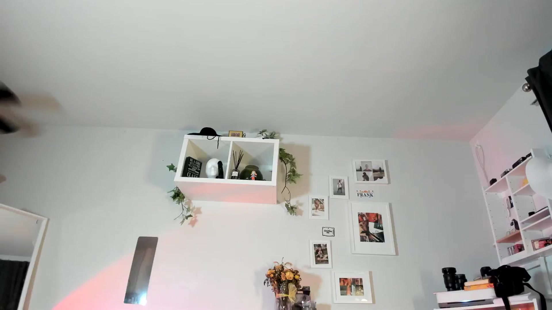 Gallery image thumbnail from Frankiiy_'s myfreecams stream on, 08/17/2023, 08:44 image 8 of 20