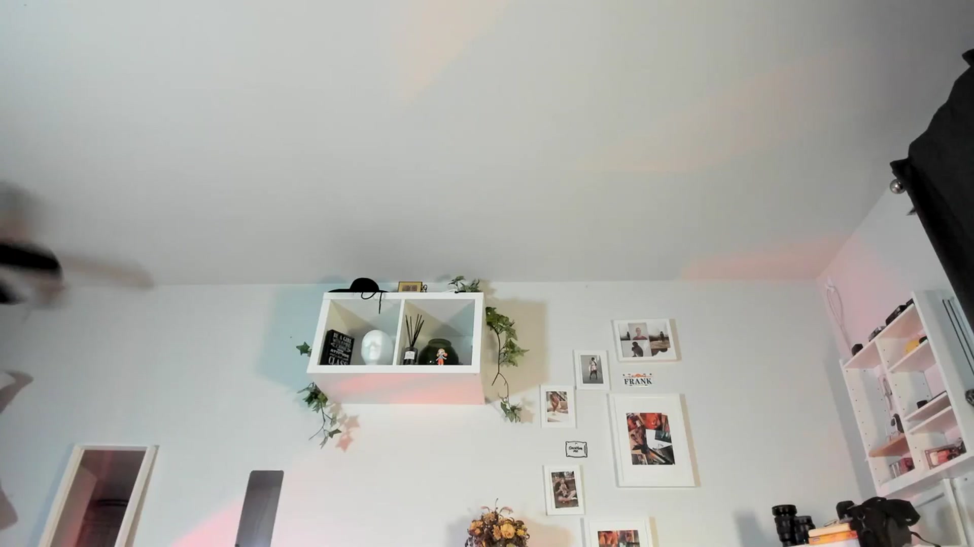 Gallery image thumbnail from Frankiiy_'s myfreecams stream on, 08/18/2023, 07:40 image 9 of 20