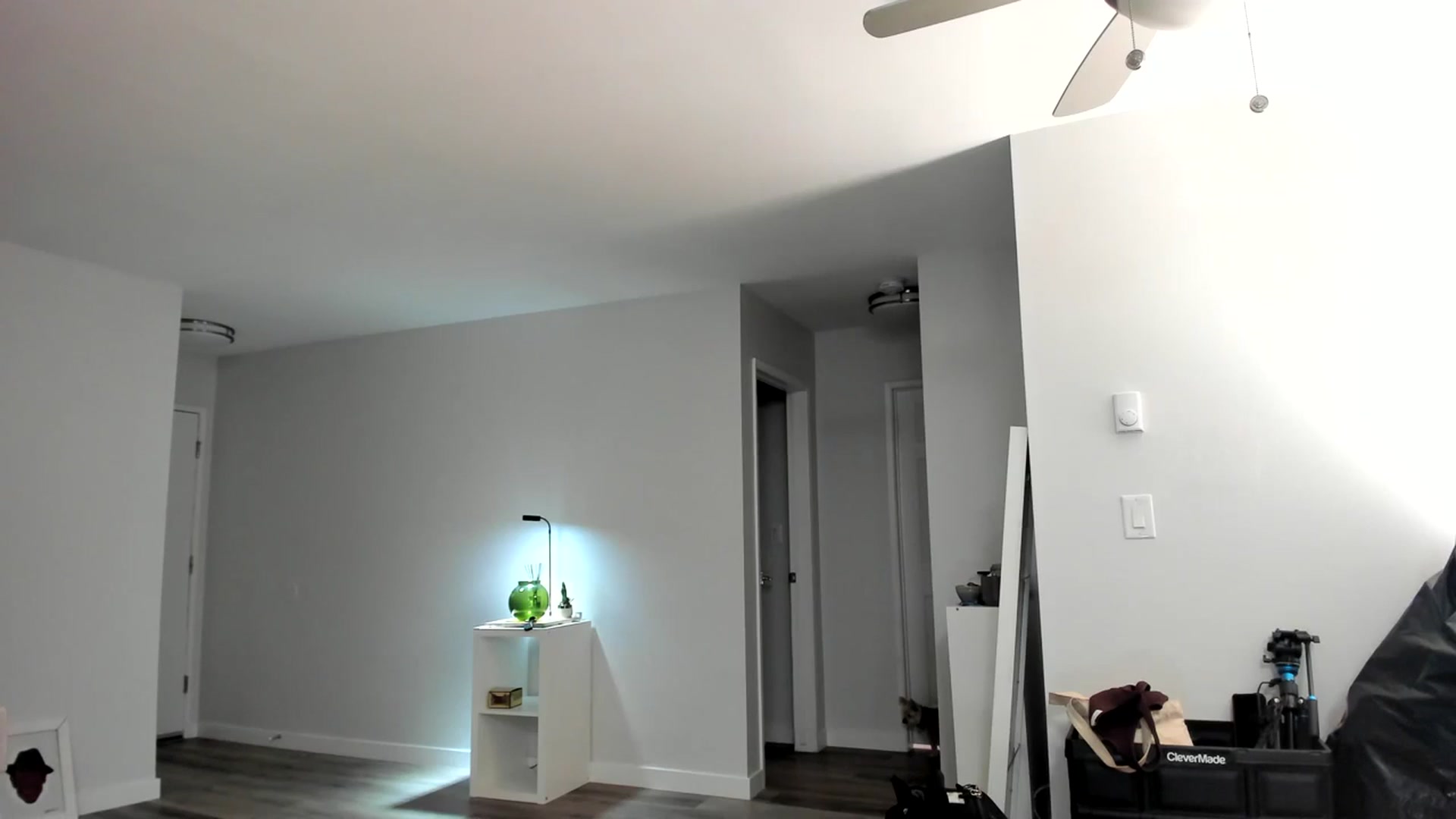 Gallery image thumbnail from Frankiiy_'s myfreecams stream on, 08/26/2023, 06:48 image 3 of 20