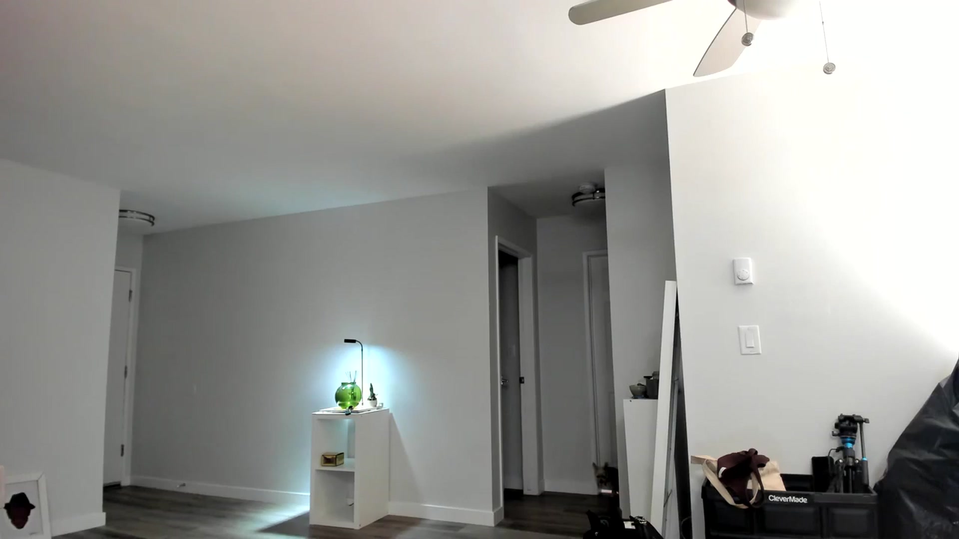 Gallery image thumbnail from Frankiiy_'s myfreecams stream on, 08/26/2023, 06:48 image 4 of 20