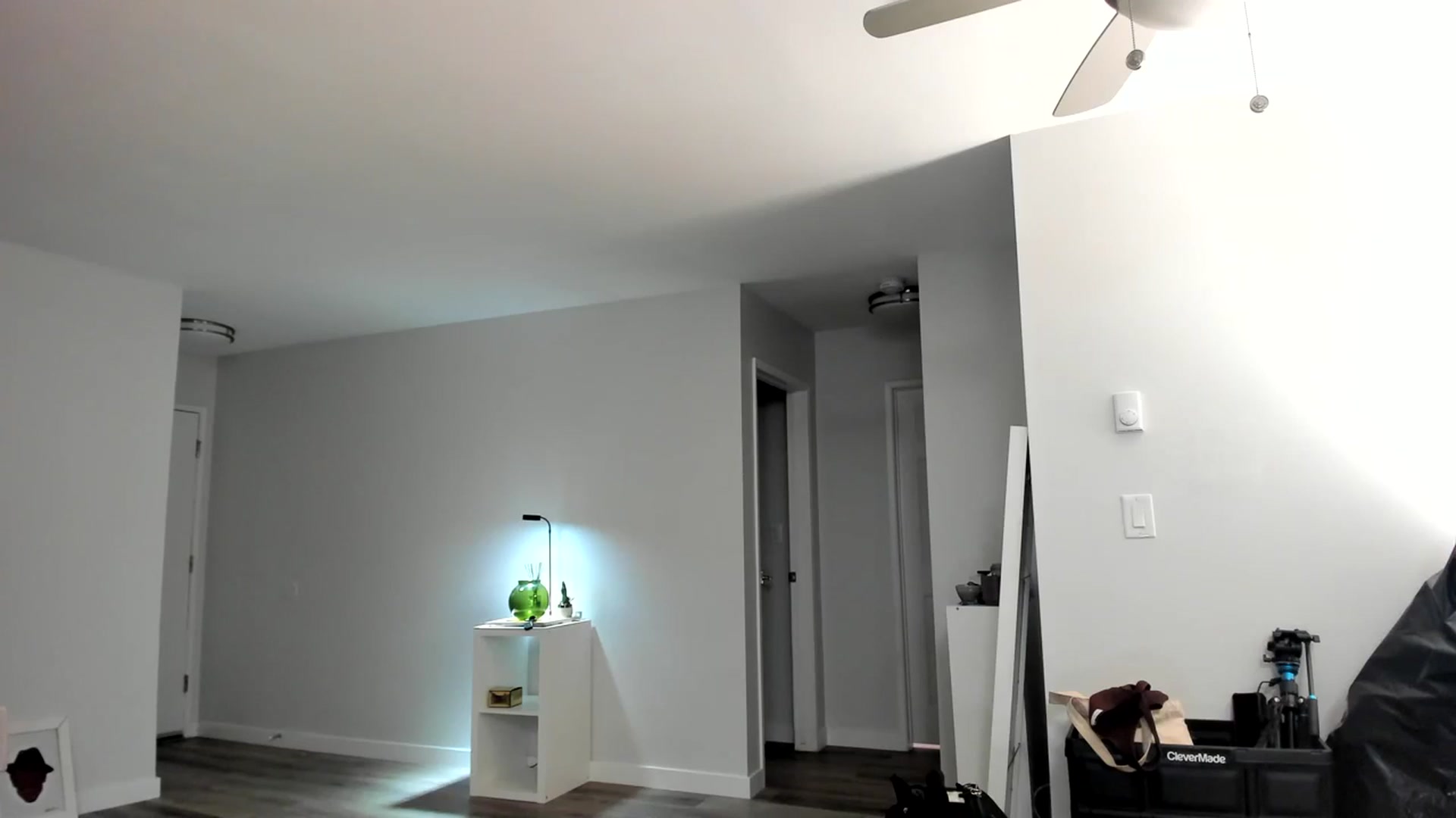 Gallery image thumbnail from Frankiiy_'s myfreecams stream on, 08/26/2023, 06:48 image 13 of 20