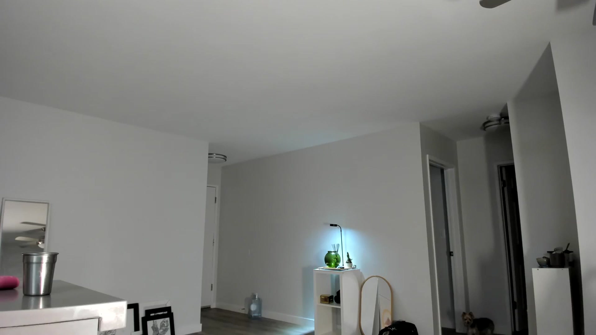 Gallery image thumbnail from Frankiiy_'s myfreecams stream on, 08/31/2023, 07:34 image 9 of 20