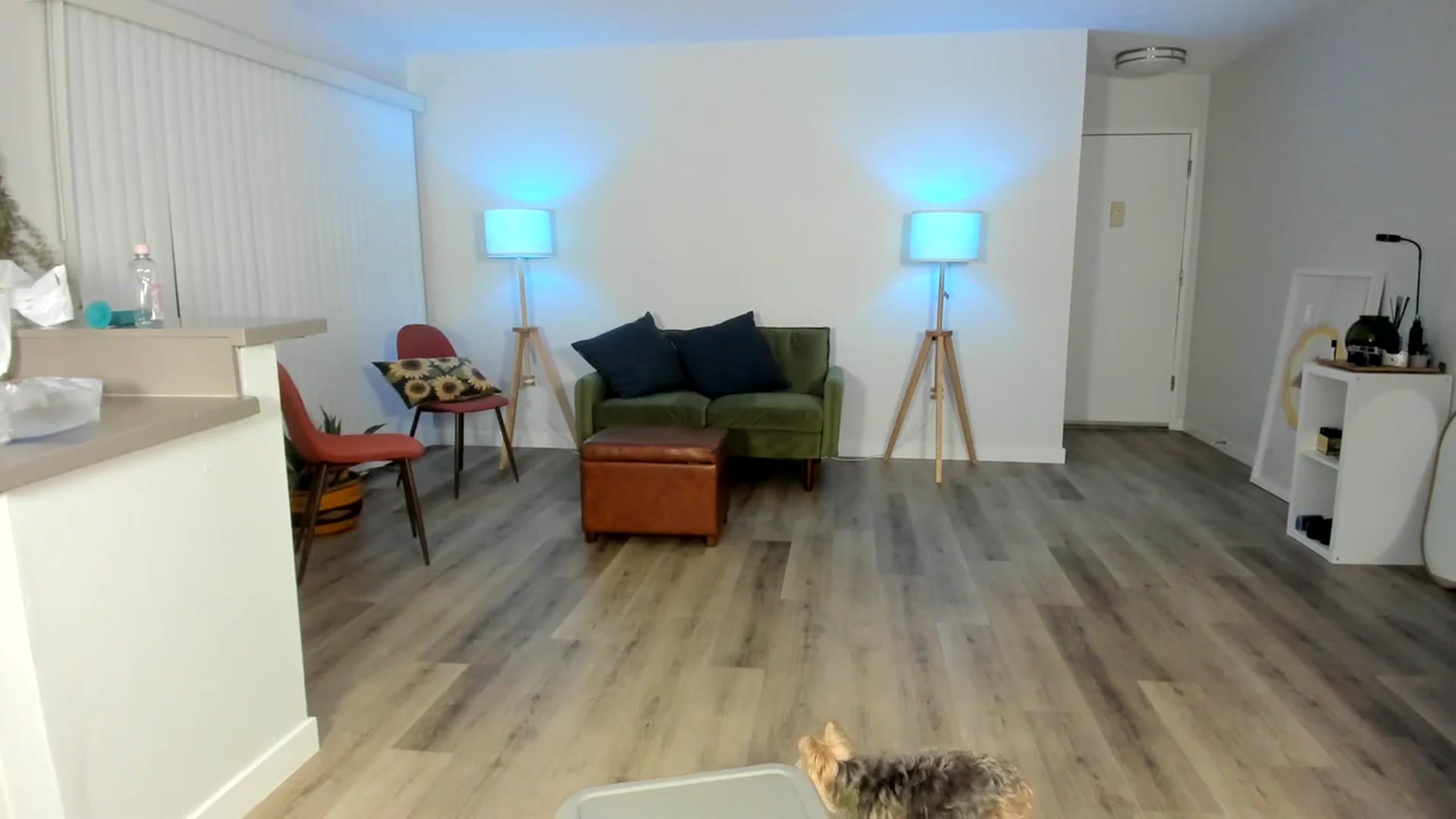 Gallery image thumbnail from Frankiiy_'s myfreecams stream on, 10/19/2023, 05:49 image 19 of 20