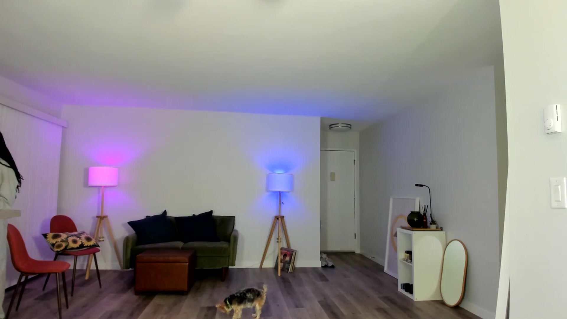 Gallery image thumbnail from Frankiiy_'s myfreecams stream on, 11/24/2023, 07:09 image 20 of 20