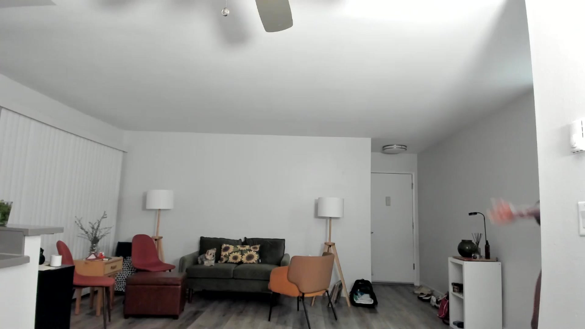 Gallery image thumbnail from Frankiiy_'s myfreecams stream on, 07/16/2024, 08:07 image 17 of 20