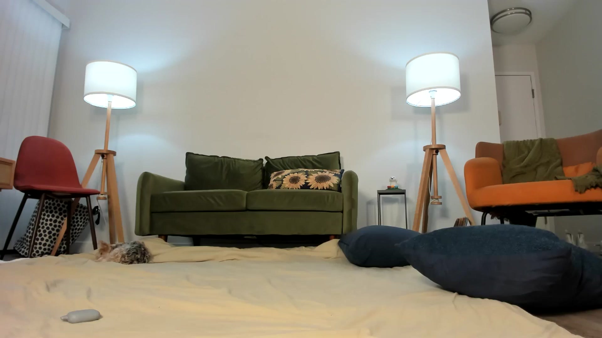 Gallery image thumbnail from Frankiiy_'s myfreecams stream on, 07/23/2024, 09:40 image 10 of 20