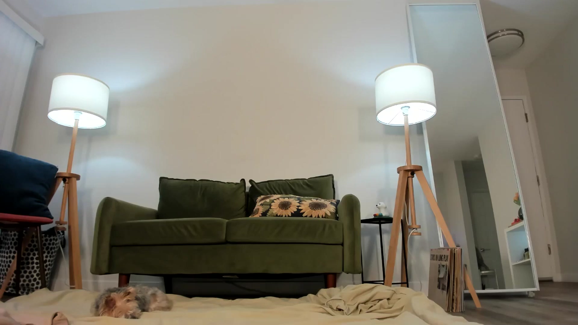 Gallery image thumbnail from Frankiiy_'s myfreecams stream on, 07/25/2024, 07:39 image 12 of 20