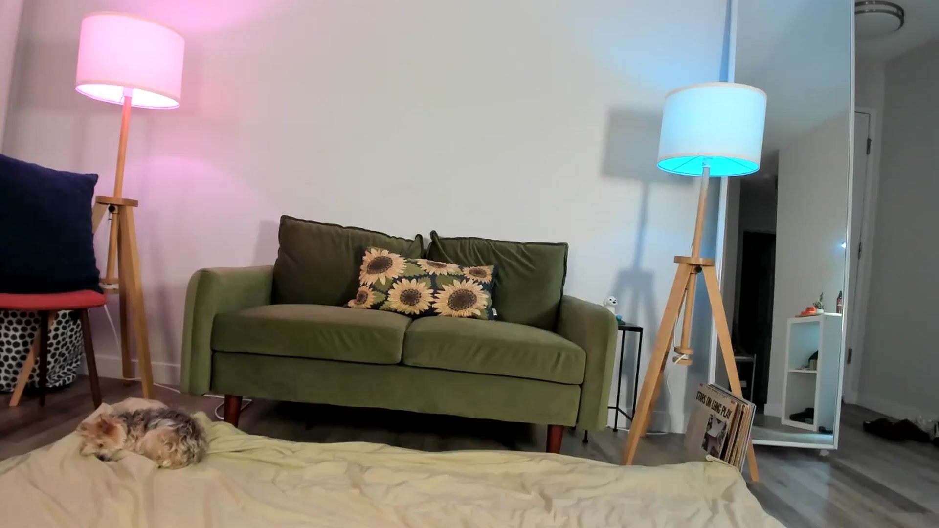 Gallery image thumbnail from Frankiiy_'s myfreecams stream on, 07/30/2024, 08:19 image 12 of 20