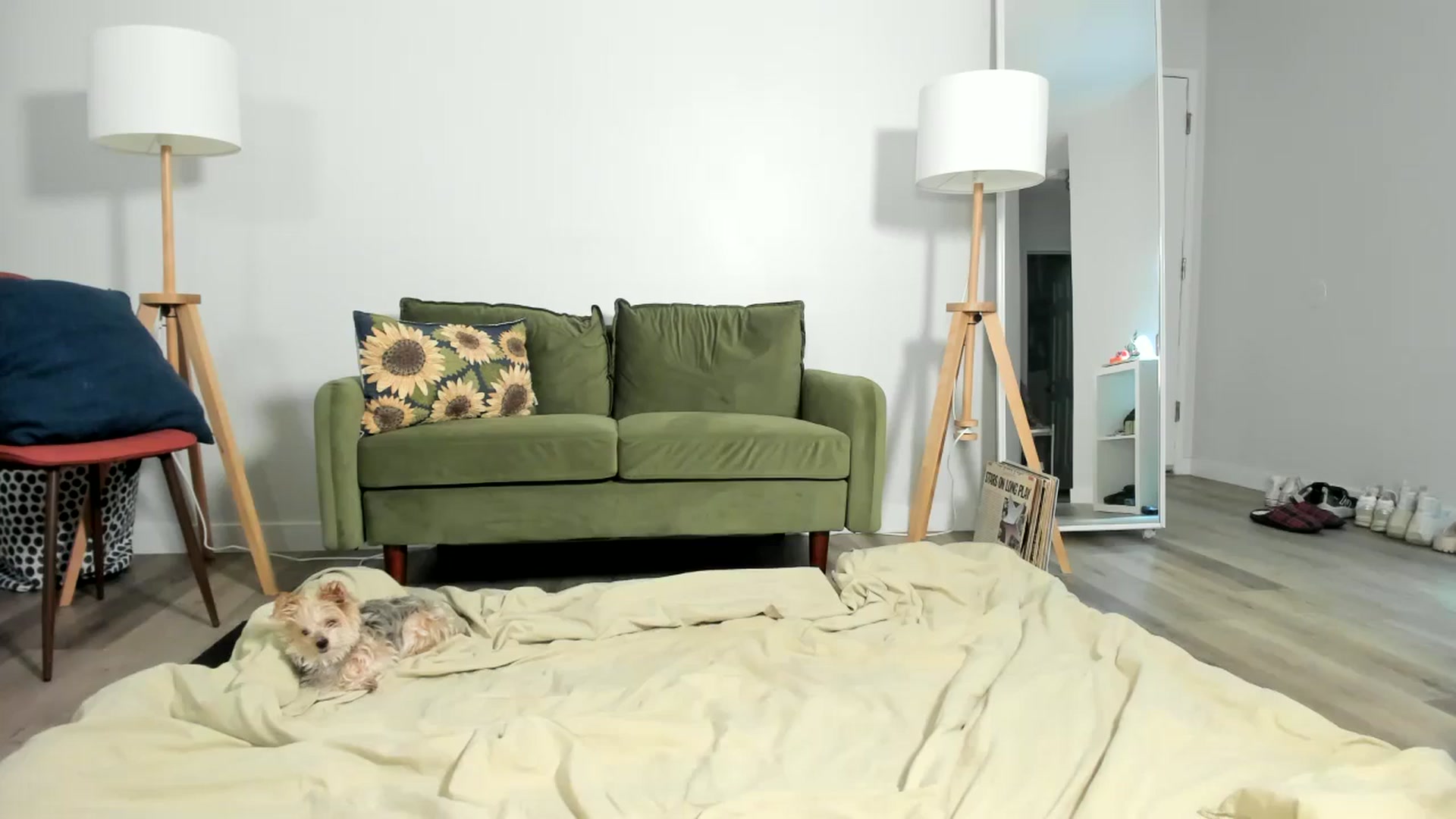 Gallery image thumbnail from Frankiiy_'s myfreecams stream on, 07/31/2024, 05:25 image 1 of 20