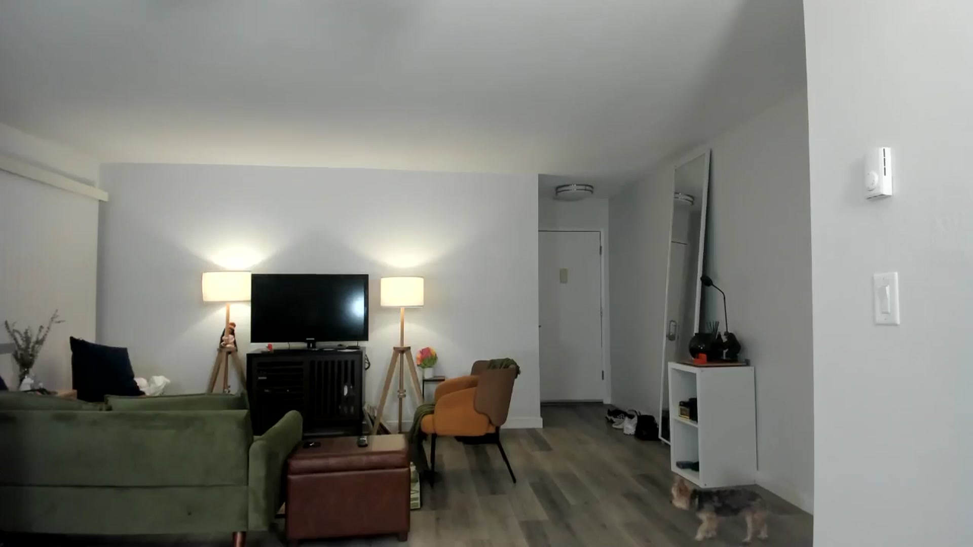 Gallery image thumbnail from Frankiiy_'s myfreecams stream on, 12/01/2024, 08:59 image 18 of 20