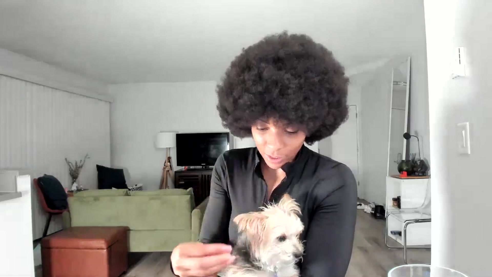 Gallery image thumbnail from Frankiiy_'s myfreecams stream on, 12/04/2024, 08:17 image 20 of 20