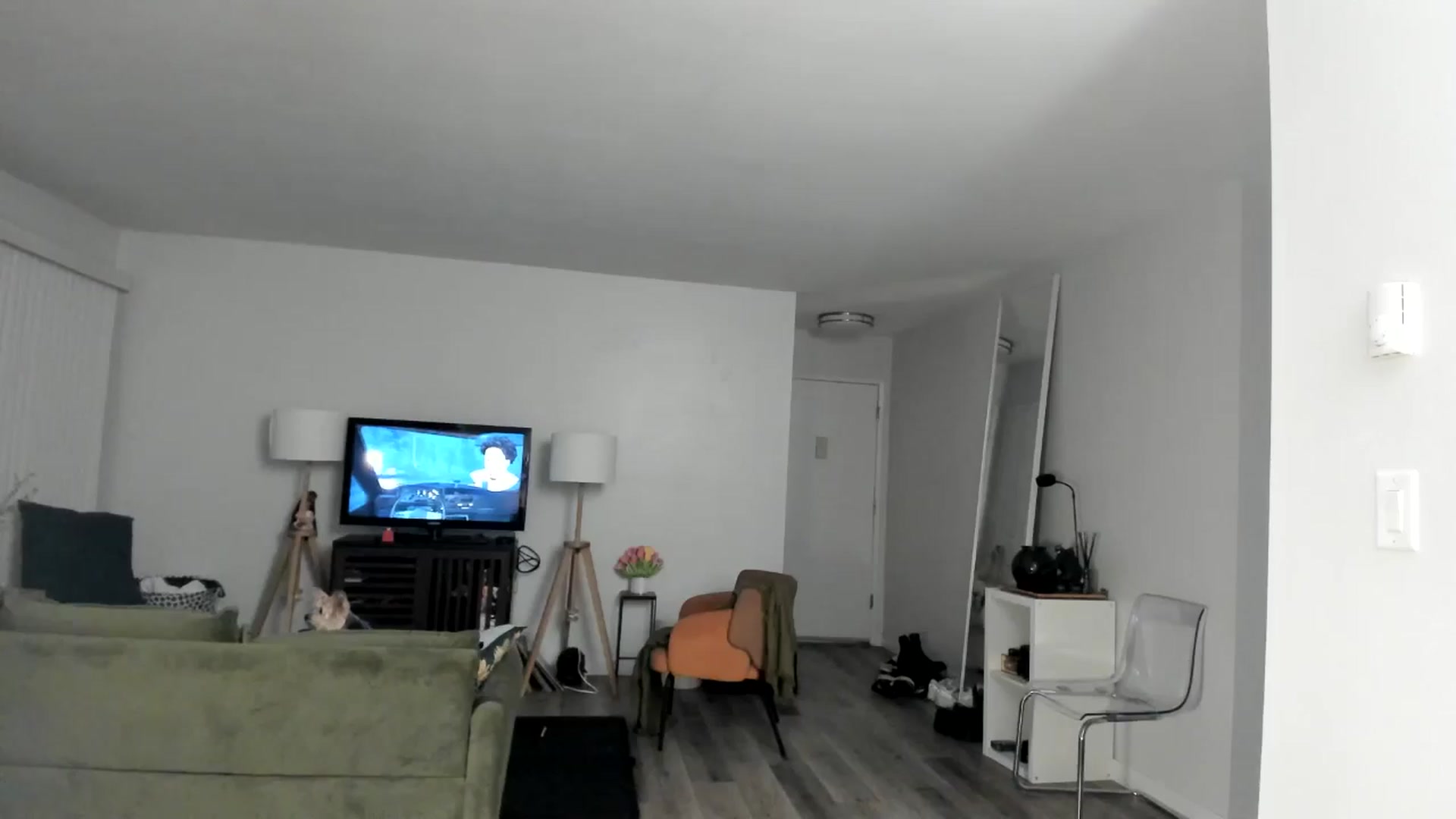 Gallery image thumbnail from Frankiiy_'s myfreecams stream on, 01/04/2025, 07:36 image 17 of 20