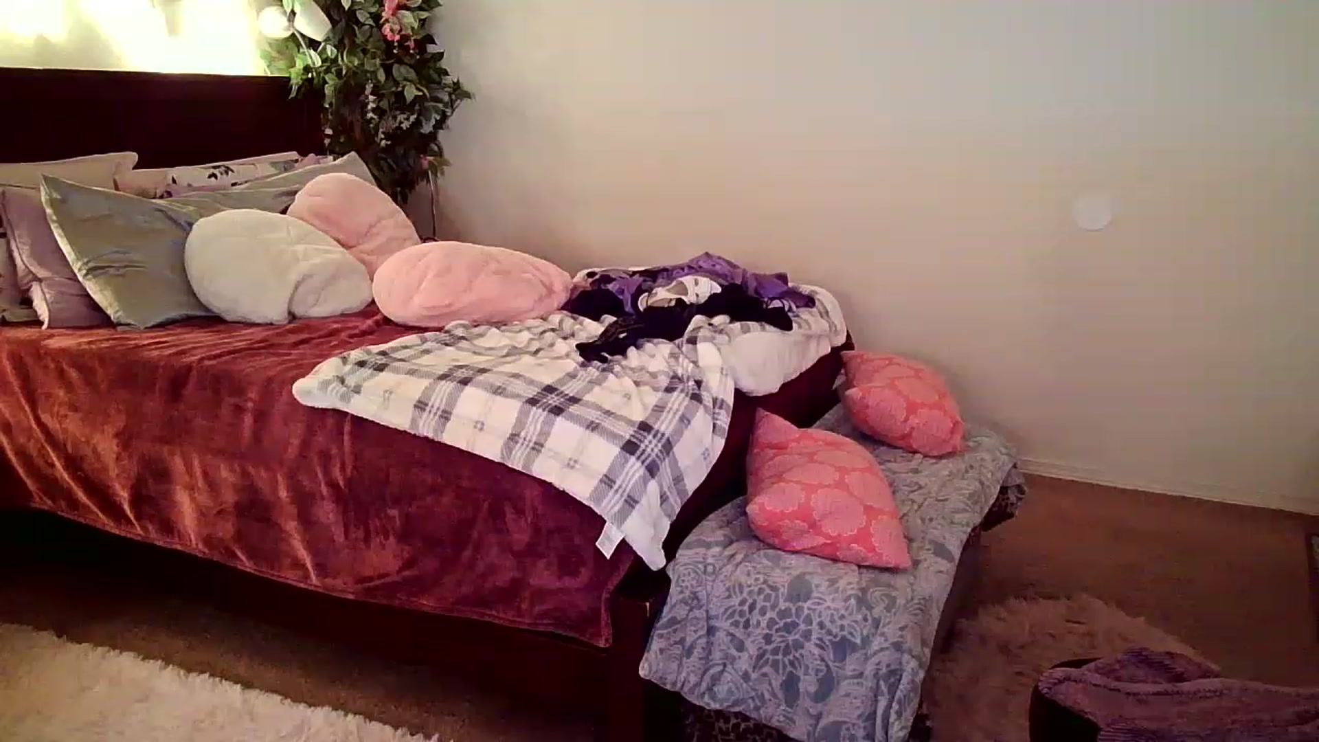 Gallery image thumbnail from Freckld_Cutie's myfreecams stream on, 11/14/2022, 20:53 image 8 of 20