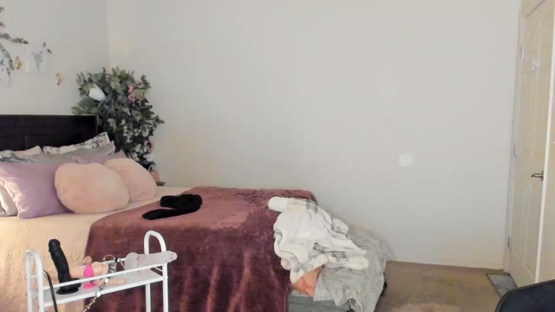 Gallery image thumbnail from Freckld_Cutie's myfreecams stream on, 01/12/2023, 21:49 image 18 of 20