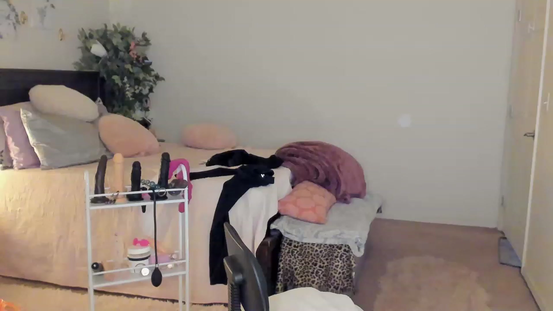 Gallery image thumbnail from Freckld_Cutie's myfreecams stream on, 02/01/2023, 23:26 image 14 of 20