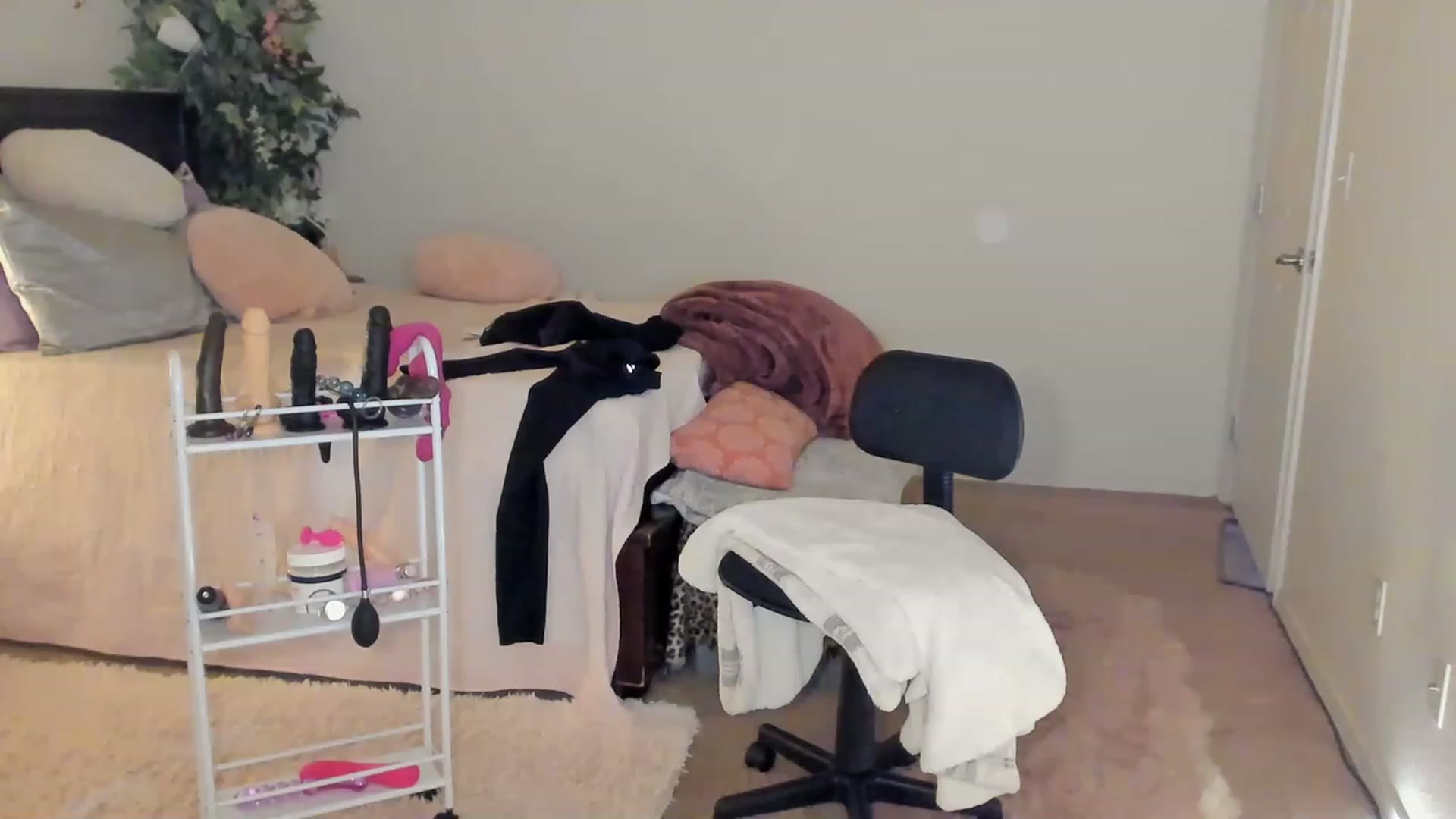 Gallery image thumbnail from Freckld_Cutie's myfreecams stream on, 02/01/2023, 23:26 image 8 of 20