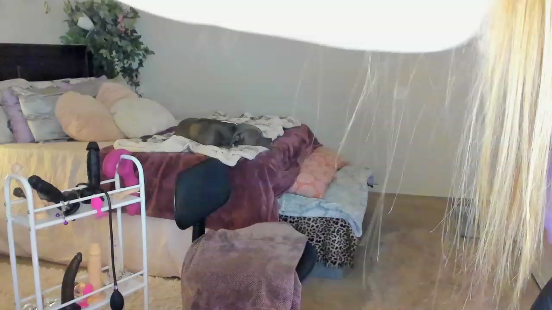 Gallery image thumbnail from Freckld_Cutie's myfreecams stream on, 02/07/2023, 19:10 image 13 of 20