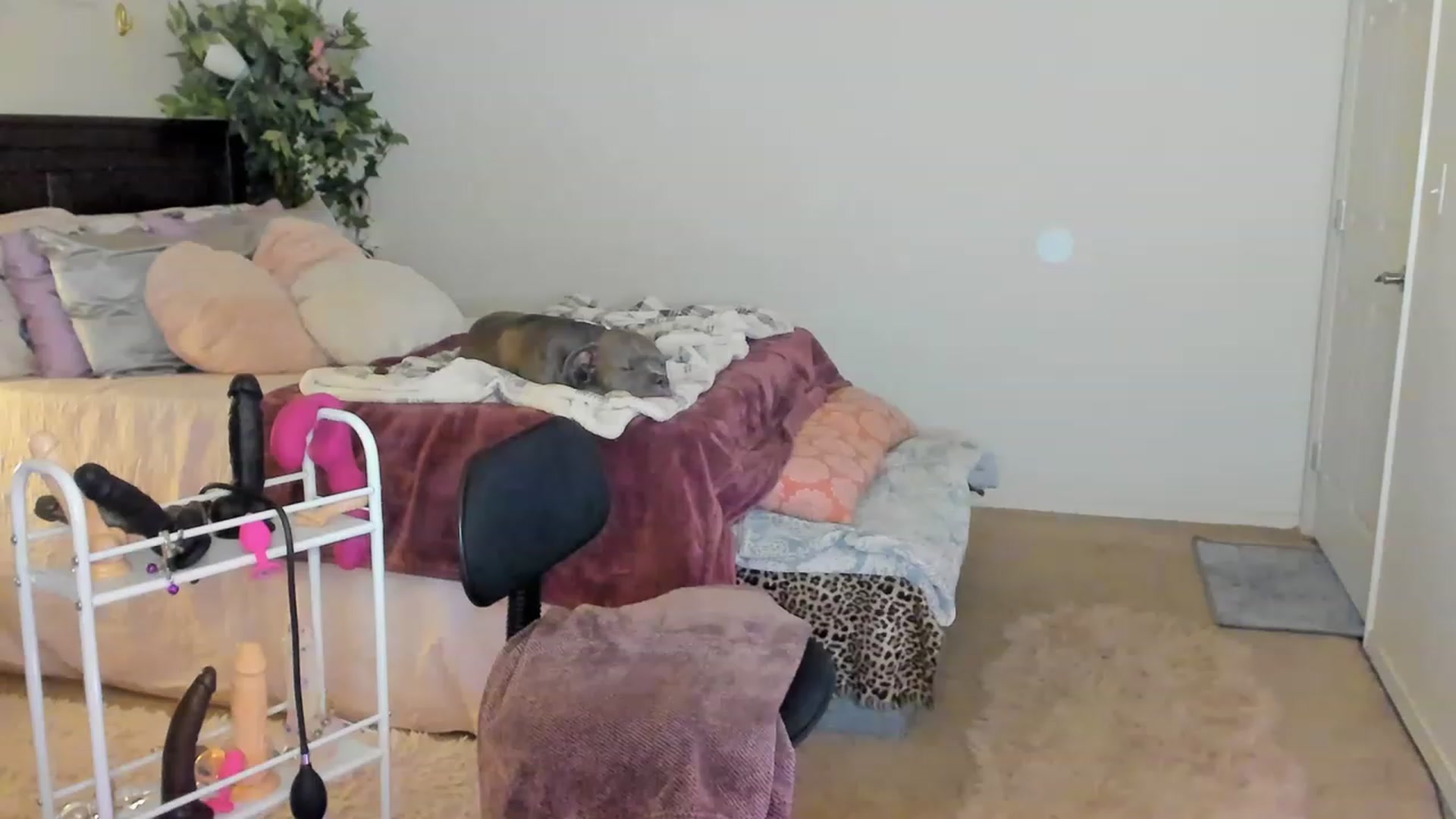 Gallery image thumbnail from Freckld_Cutie's myfreecams stream on, 02/07/2023, 19:10 image 16 of 20