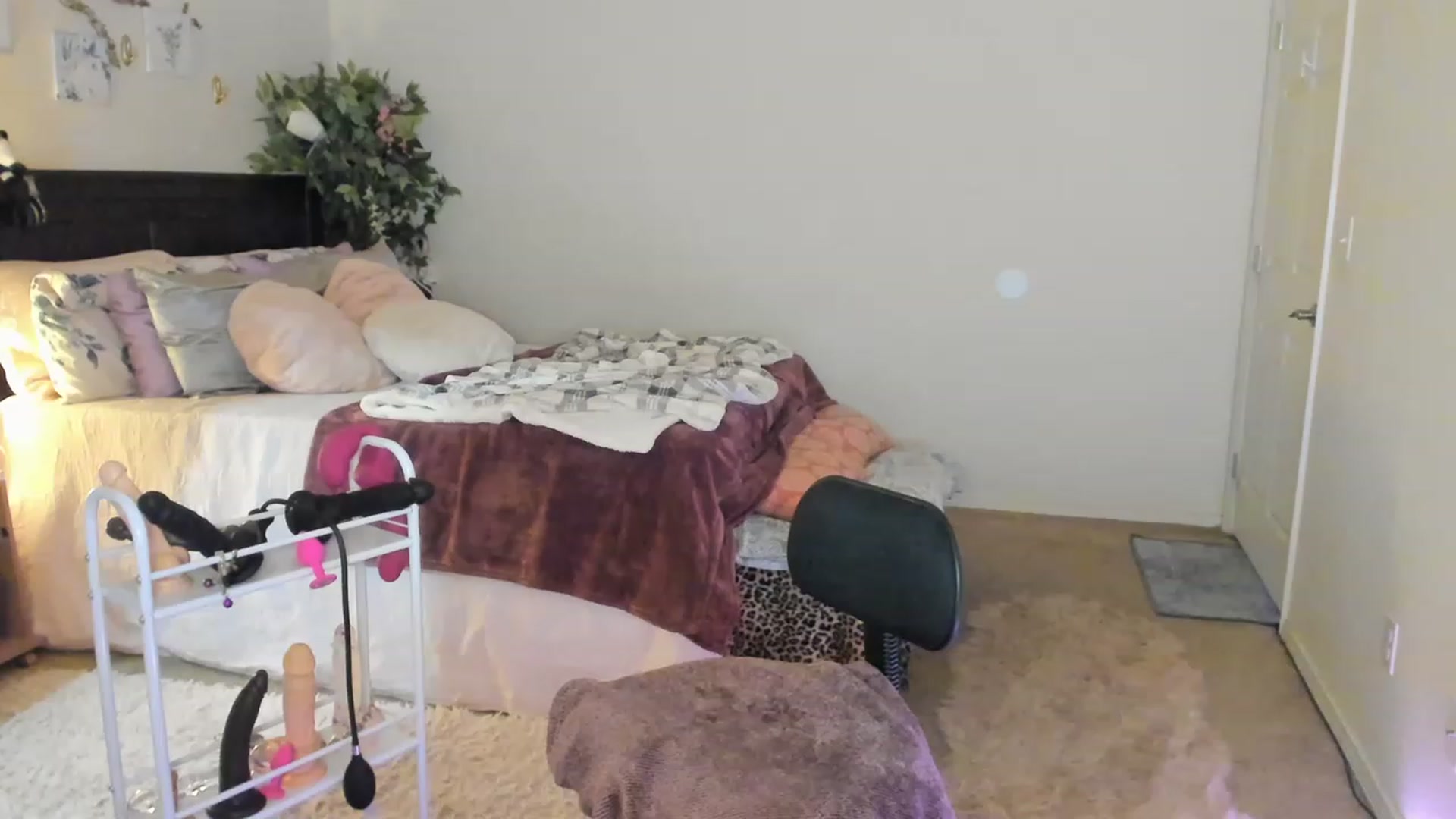 Gallery image thumbnail from Freckld_Cutie's myfreecams stream on, 02/07/2023, 21:05 image 1 of 20