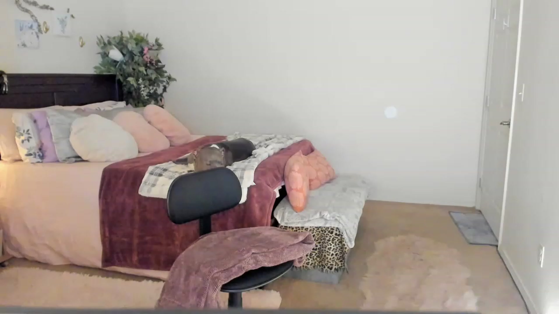 Gallery image thumbnail from Freckld_Cutie's myfreecams stream on, 02/09/2023, 20:19 image 7 of 20