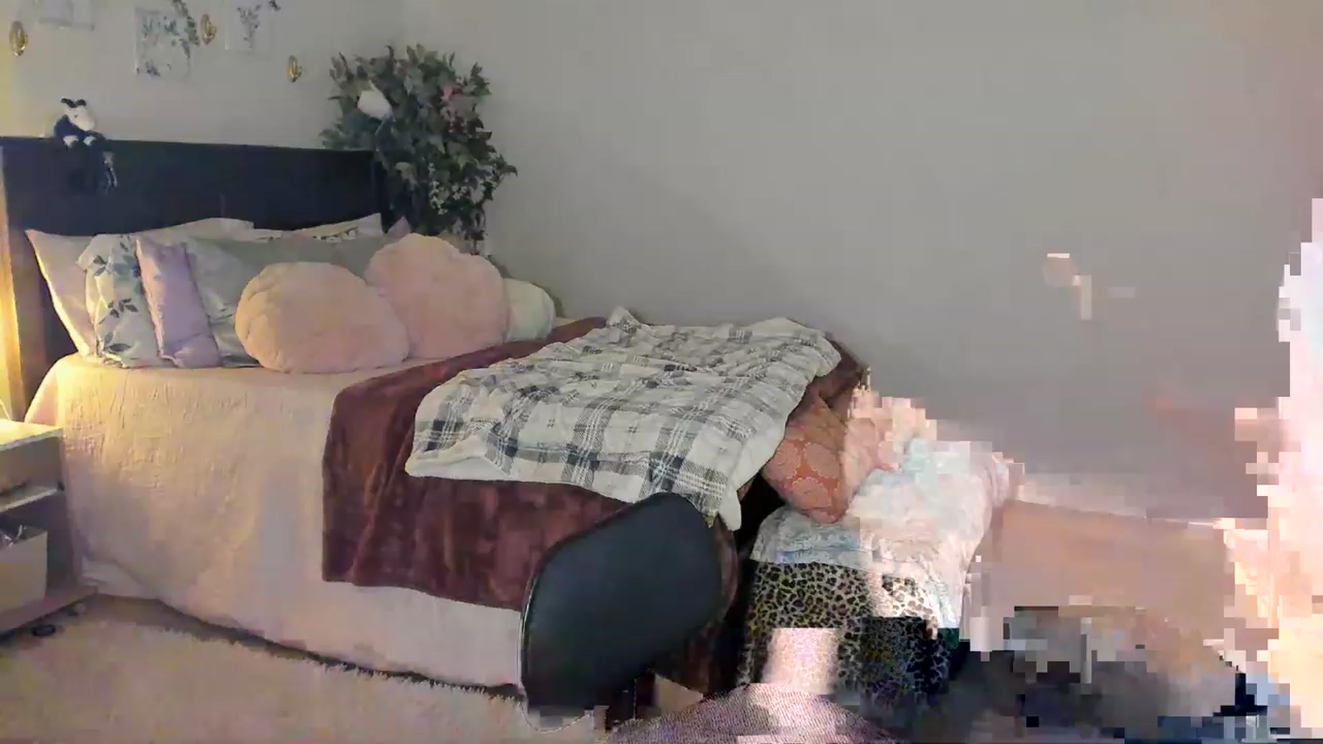 Gallery image thumbnail from Freckld_Cutie's myfreecams stream on, 02/17/2023, 21:28 image 17 of 20