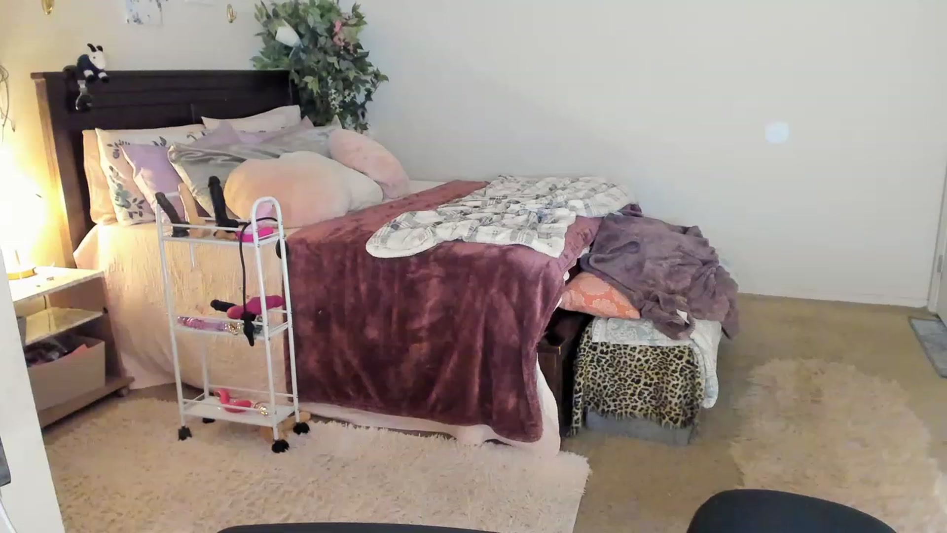 Gallery image thumbnail from Freckld_Cutie's myfreecams stream on, 03/09/2023, 23:15 image 13 of 20