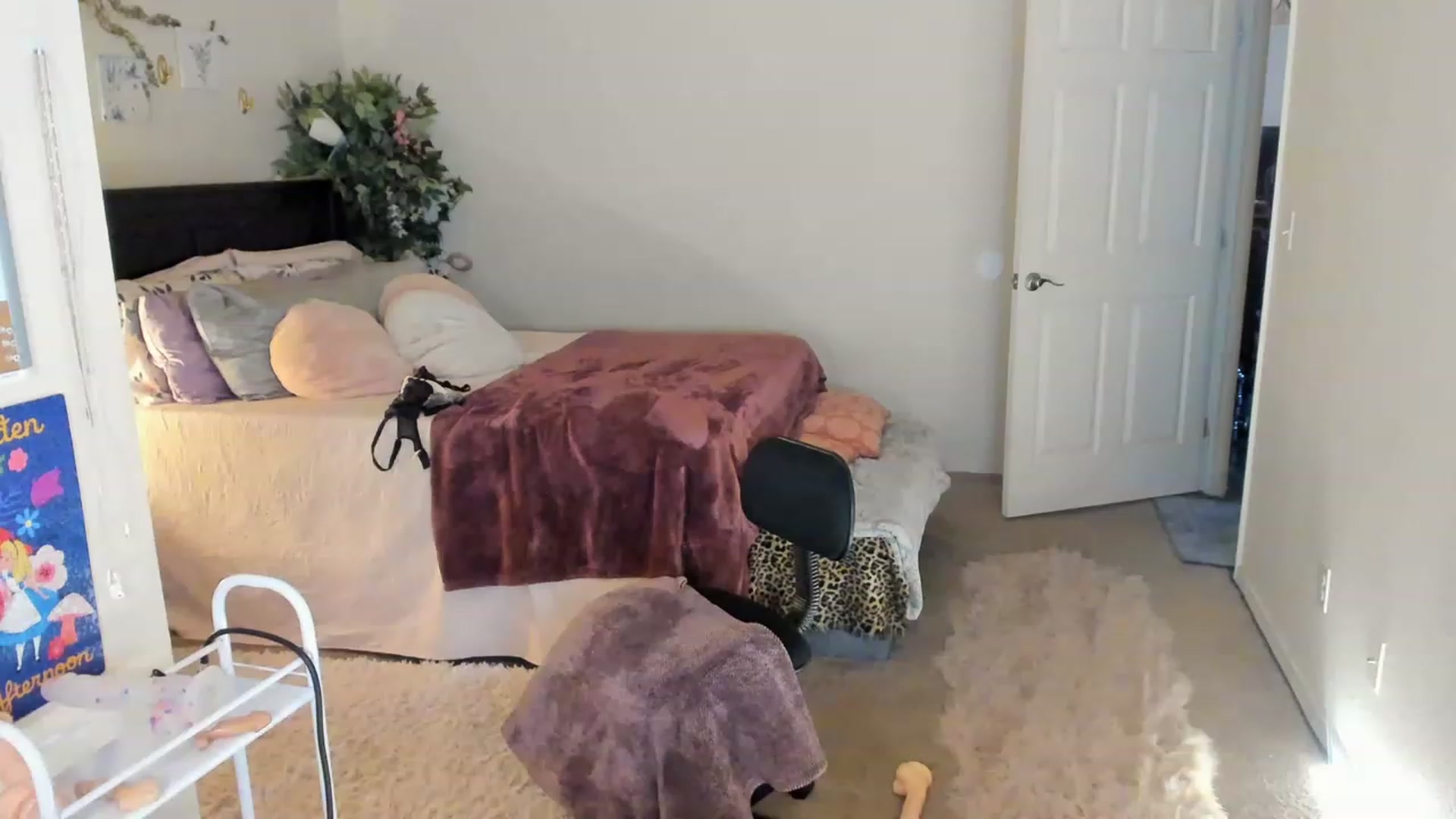 Gallery image thumbnail from Freckld_Cutie's myfreecams stream on, 03/13/2023, 19:37 image 18 of 20