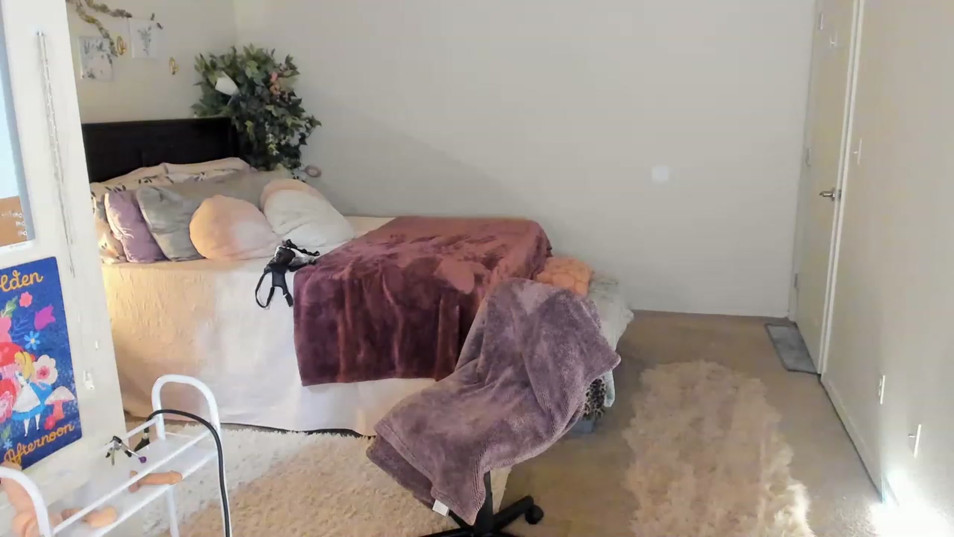 Gallery image thumbnail from Freckld_Cutie's myfreecams stream on, 03/13/2023, 20:09 image 8 of 20