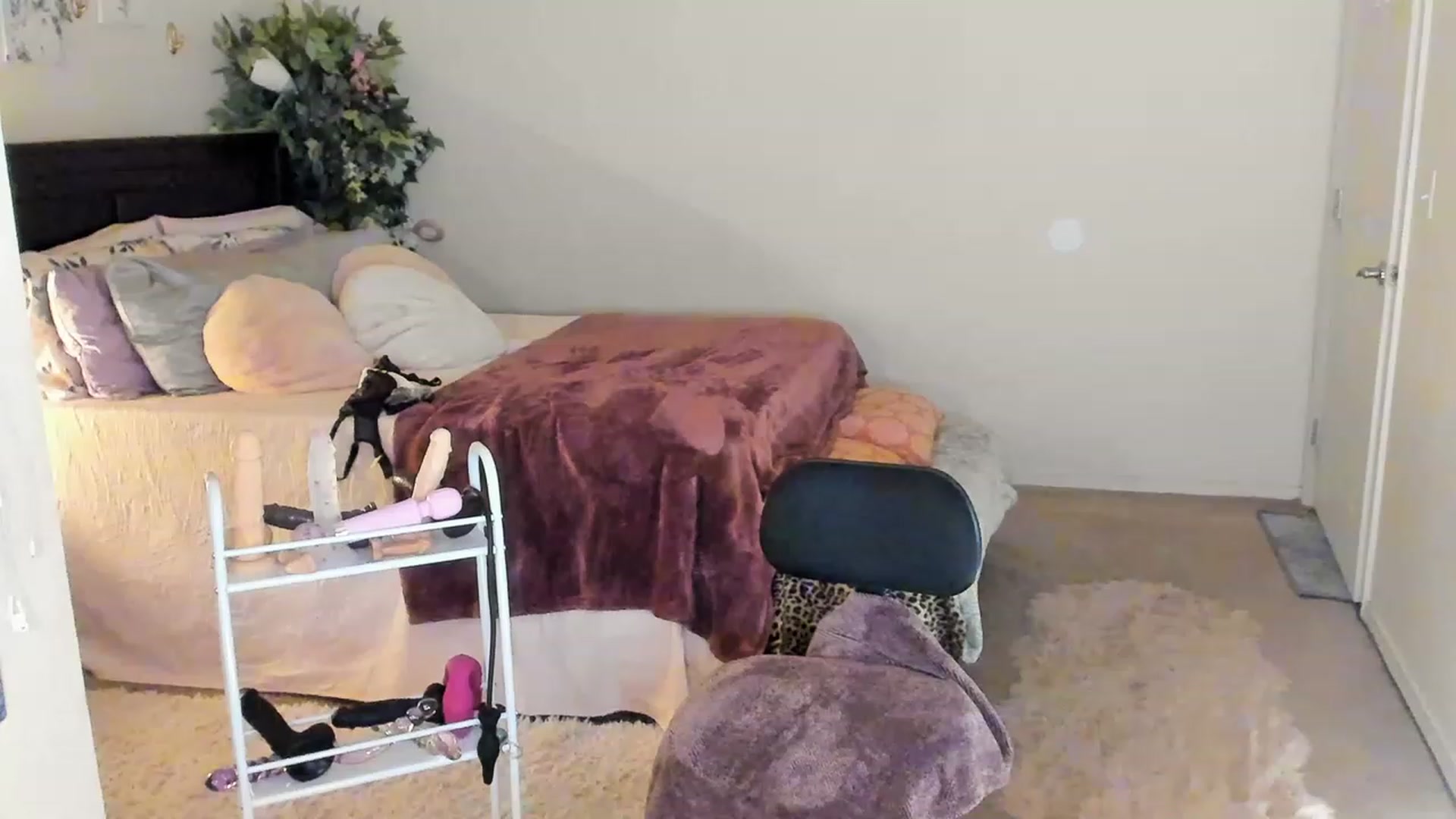 Gallery image thumbnail from Freckld_Cutie's myfreecams stream on, 03/13/2023, 21:15 image 1 of 20