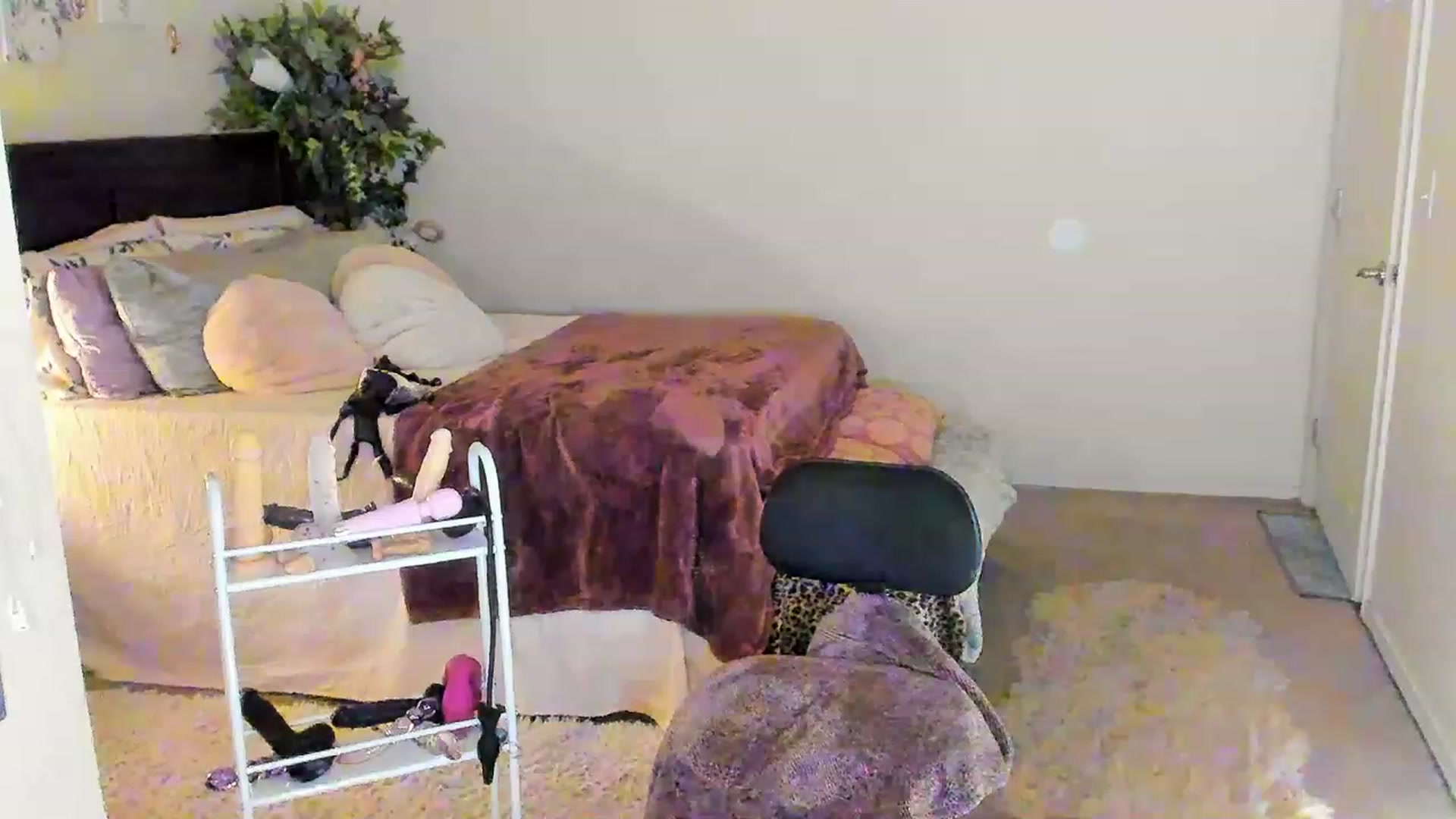 Gallery image thumbnail from Freckld_Cutie's myfreecams stream on, 03/13/2023, 21:15 image 2 of 20