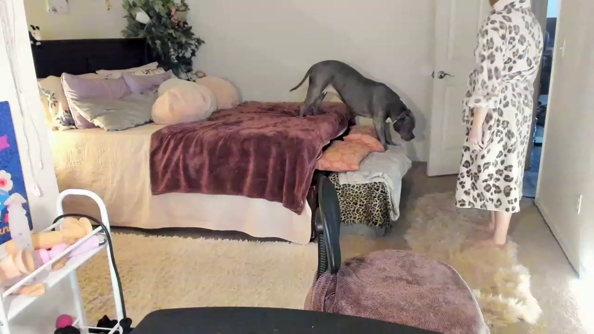 Gallery image thumbnail from Freckld_Cutie's myfreecams stream on, 03/14/2023, 18:43 image 10 of 20