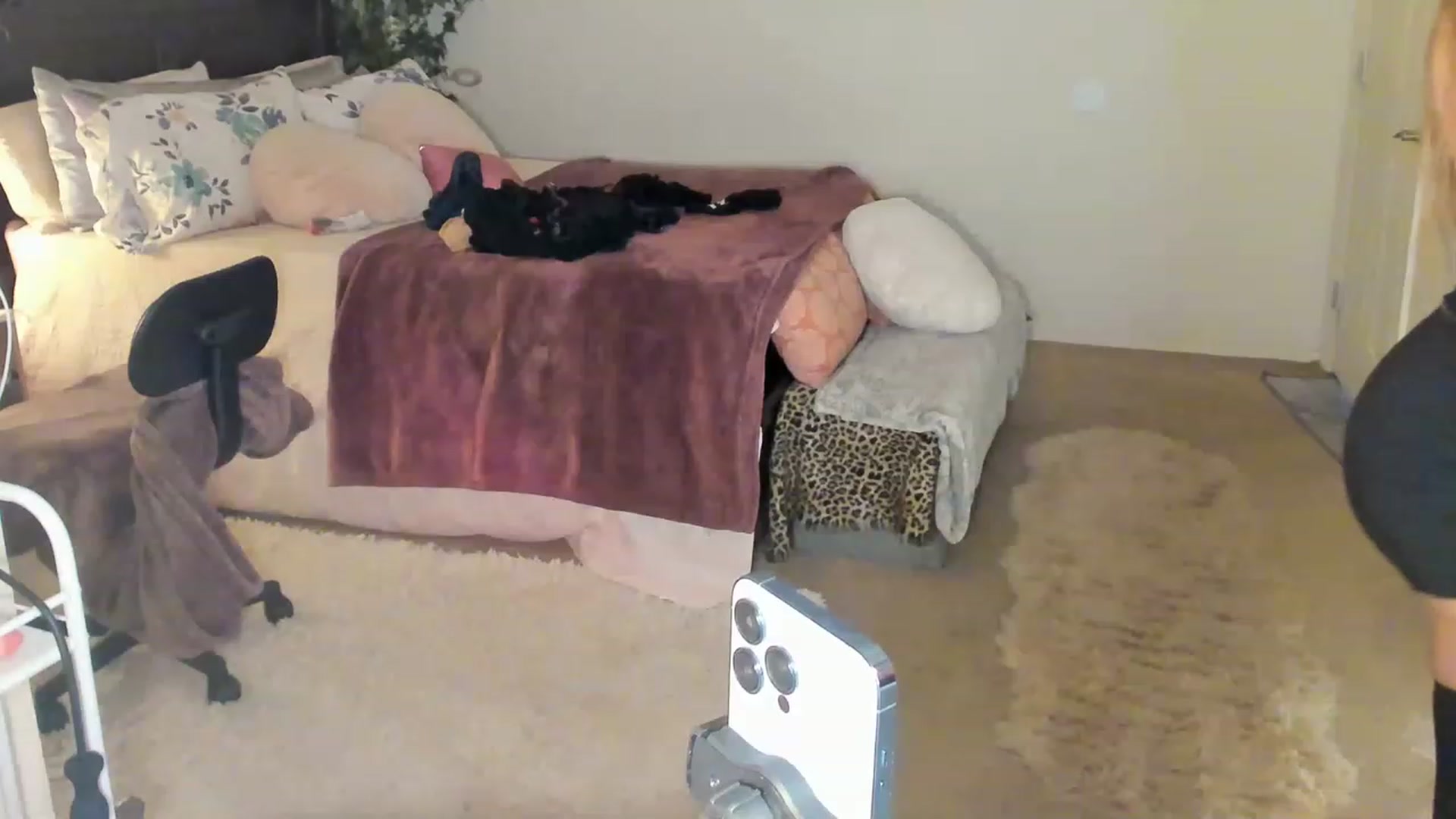 Gallery image thumbnail from Freckld_Cutie's myfreecams stream on, 05/02/2023, 19:18 image 3 of 20