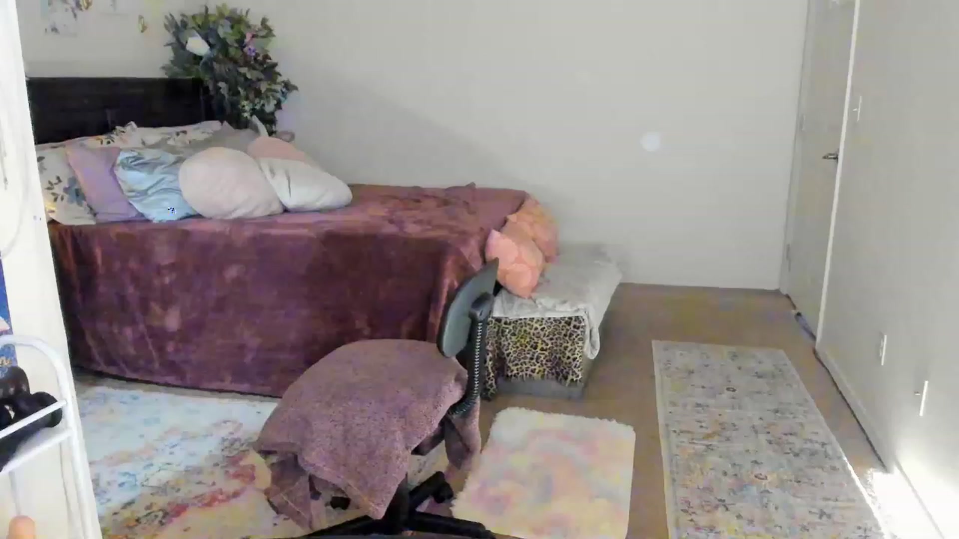 Gallery image thumbnail from Freckld_Cutie's myfreecams stream on, 05/15/2023, 17:24 image 1 of 20