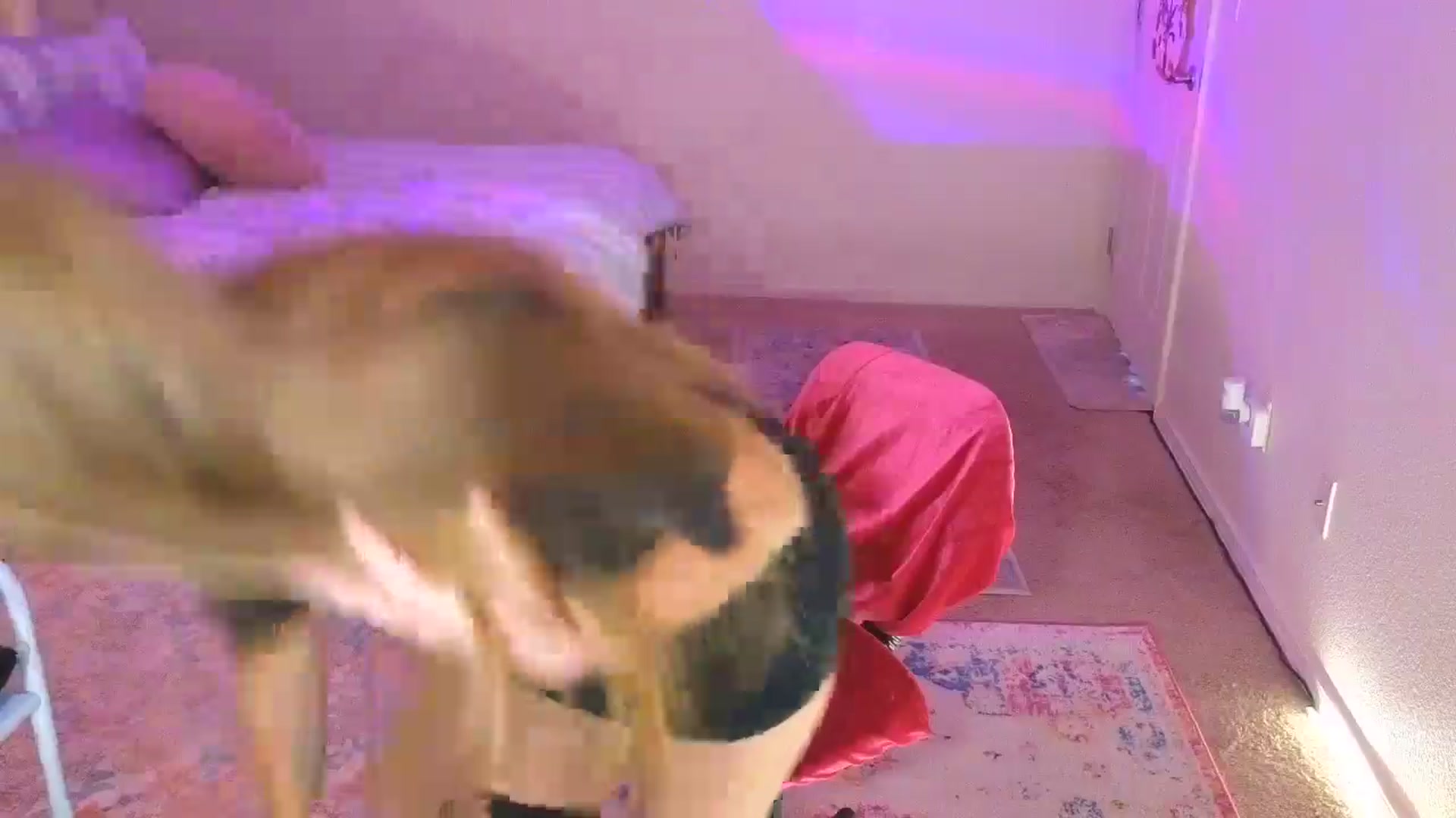 Gallery image thumbnail from Freckld_Cutie's myfreecams stream on, 08/14/2024, 18:45 image 19 of 20
