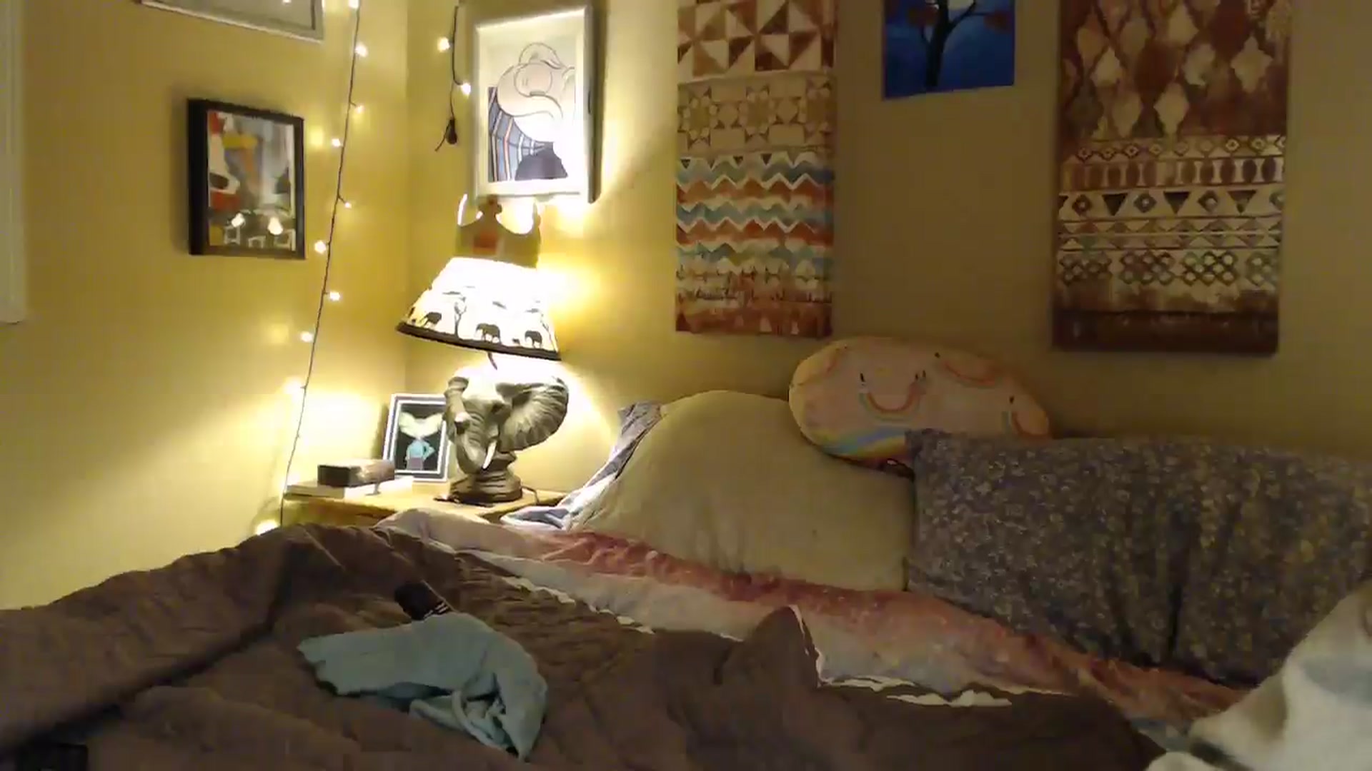 Gallery image thumbnail from Freckles___'s myfreecams stream on, 01/28/2025, 05:22 image 20 of 20