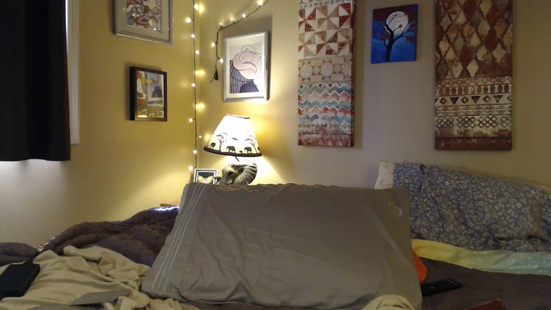 Gallery image thumbnail from Freckles___'s myfreecams stream on, 02/27/2025, 21:48 image 8 of 20
