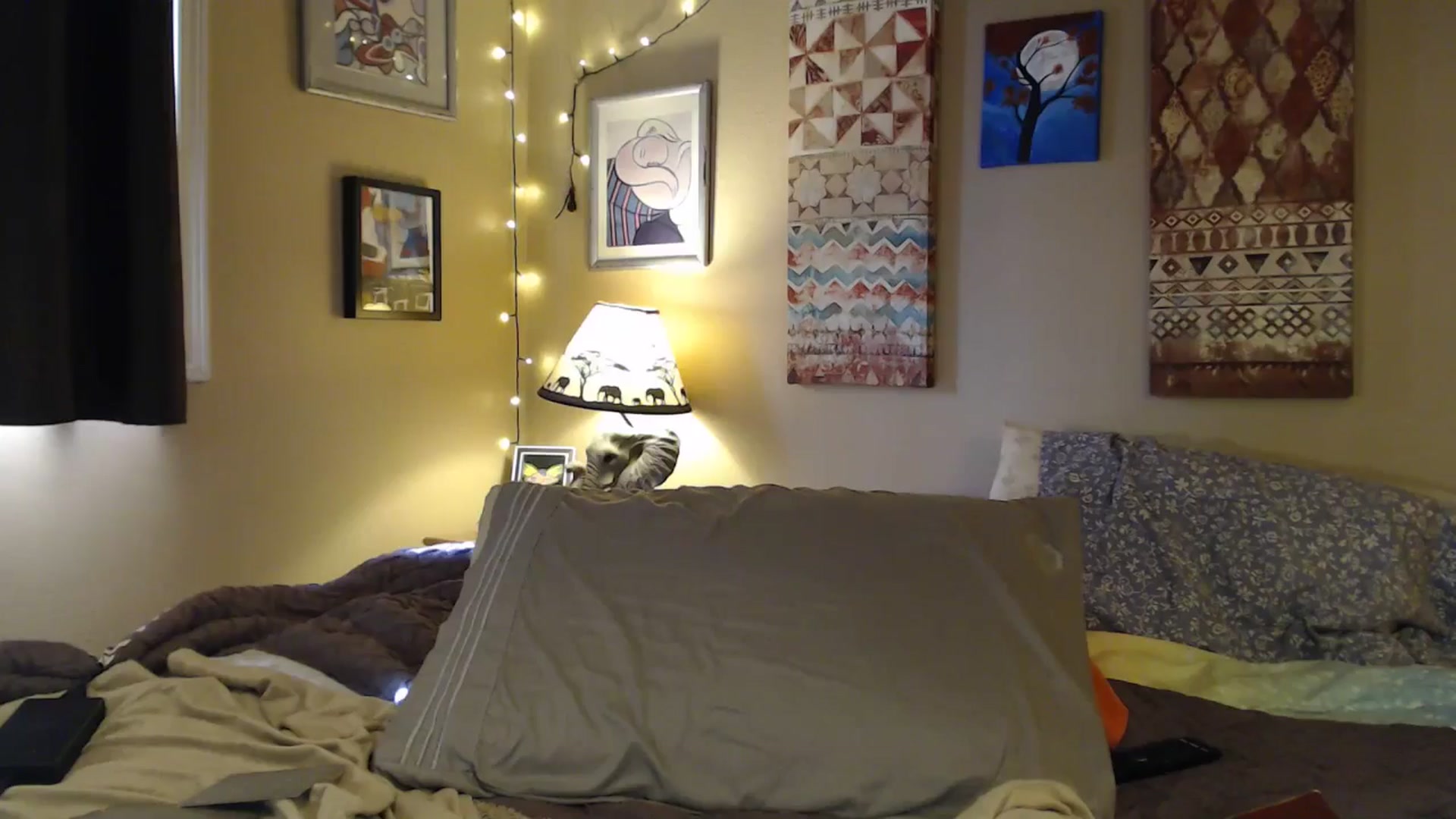 Gallery image thumbnail from Freckles___'s myfreecams stream on, 02/27/2025, 21:48 image 7 of 20